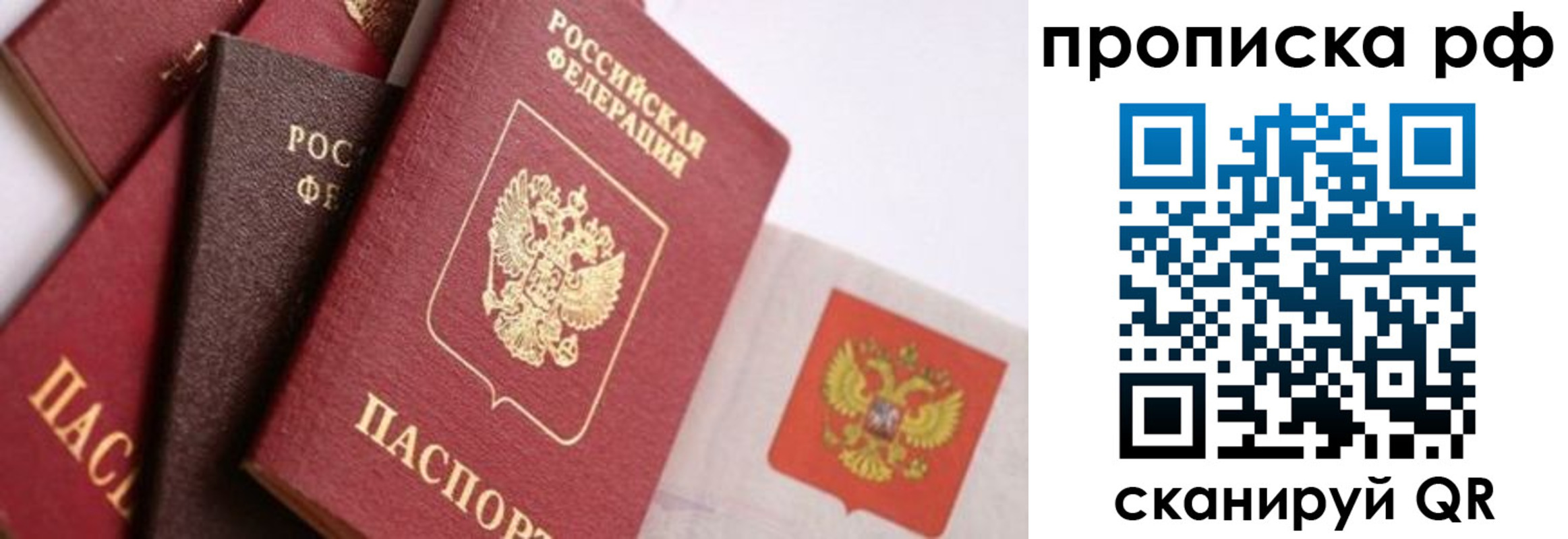 прописка ребенка в Амурской области